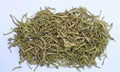 如何科學(xué)飲用金銀花茶？需注意哪些事項(xiàng)？