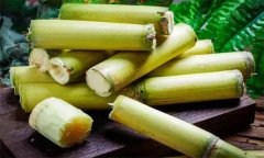 如何選購(gòu)、儲(chǔ)存甘蔗？食用甘蔗應(yīng)注意事項(xiàng)