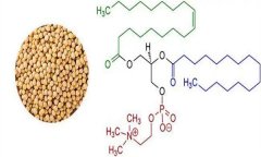 大豆異黃酮對(duì)人體有什么好處 什么食物含量多？