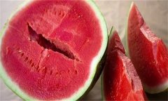 無(wú)籽西瓜是怎么留種的？如何減少西瓜瓜籽？